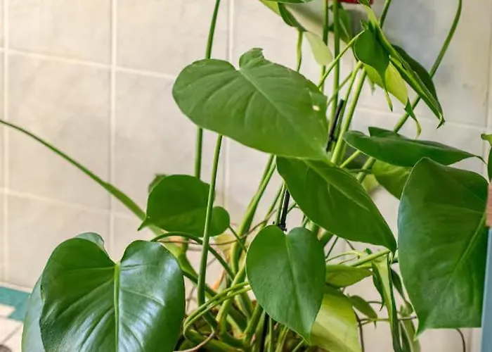 Modernes In Weissensee * Berlin